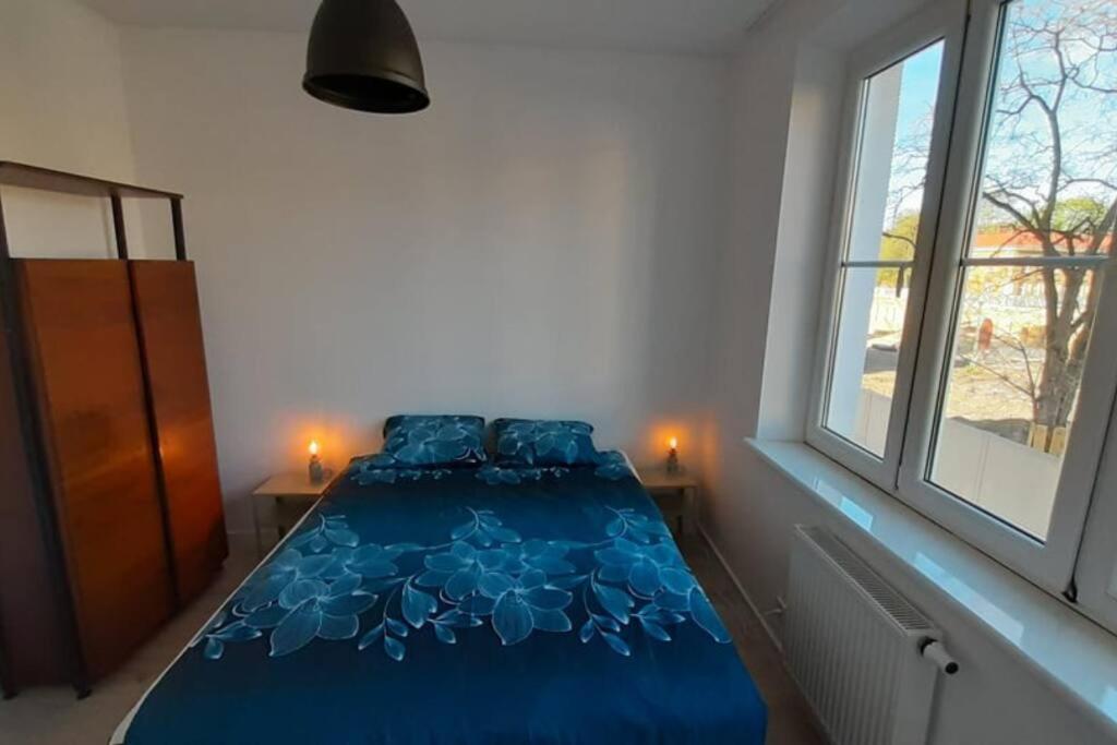 Parrot'S Apartment Krakow Bagian luar foto